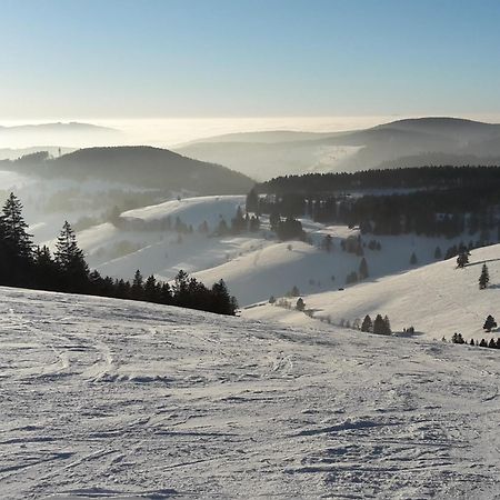 Ferienwohnung Am Geissberg Kleines Wiesental Экстерьер фото