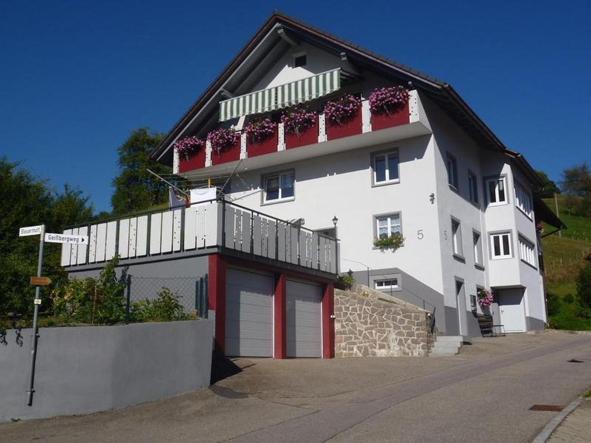 Ferienwohnung Am Geissberg Kleines Wiesental Экстерьер фото