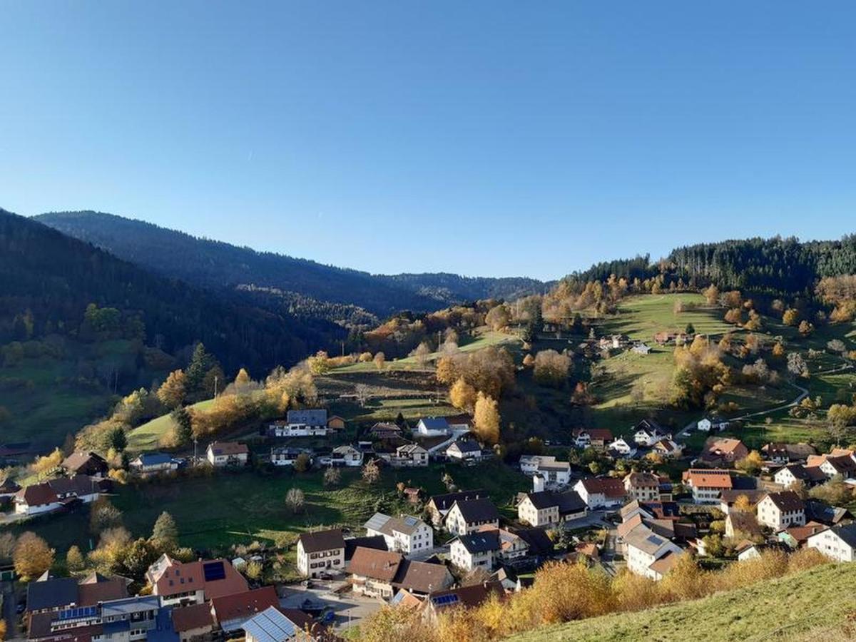 Ferienwohnung Am Geissberg Kleines Wiesental Экстерьер фото