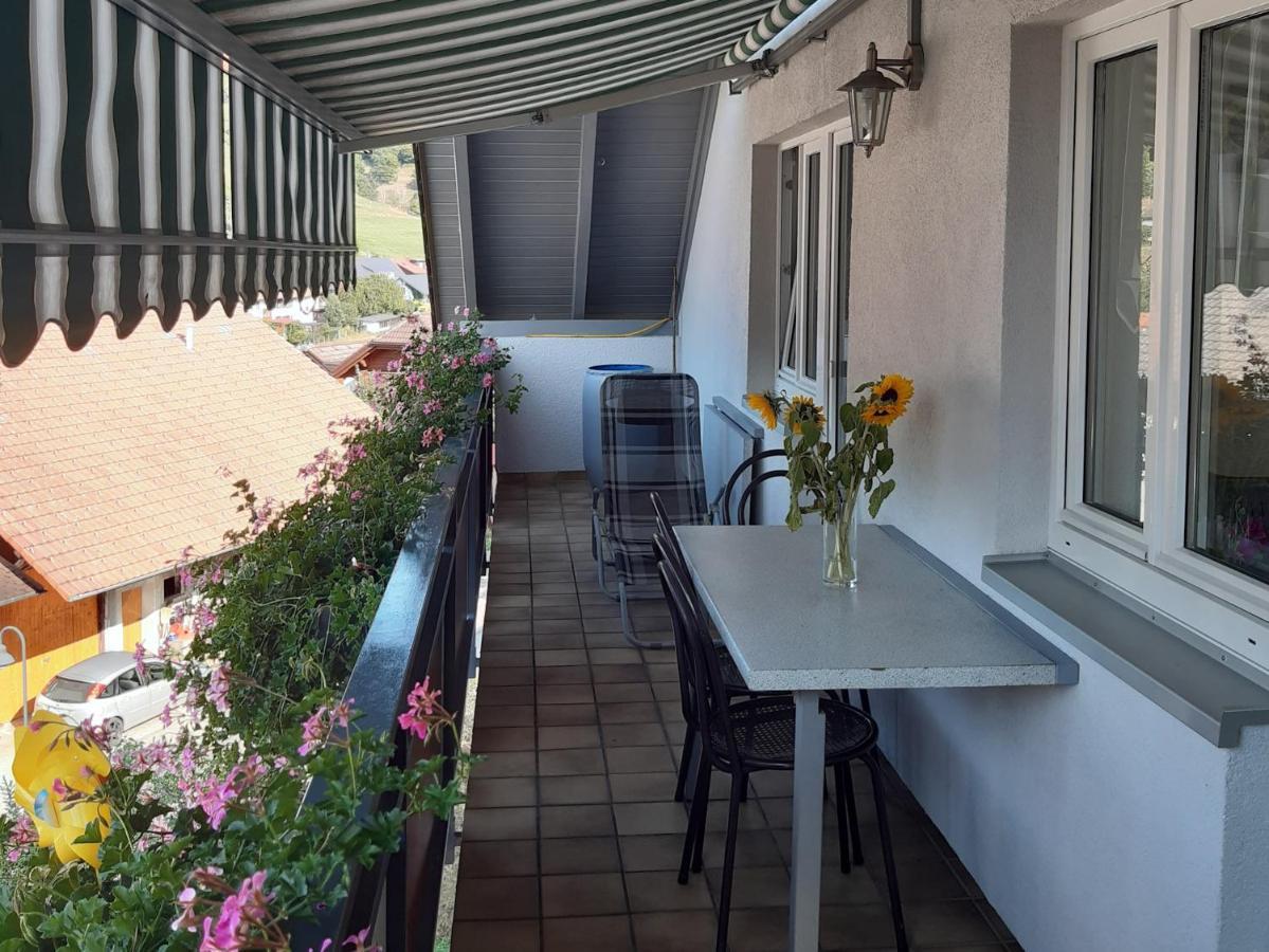 Ferienwohnung Am Geissberg Kleines Wiesental Экстерьер фото