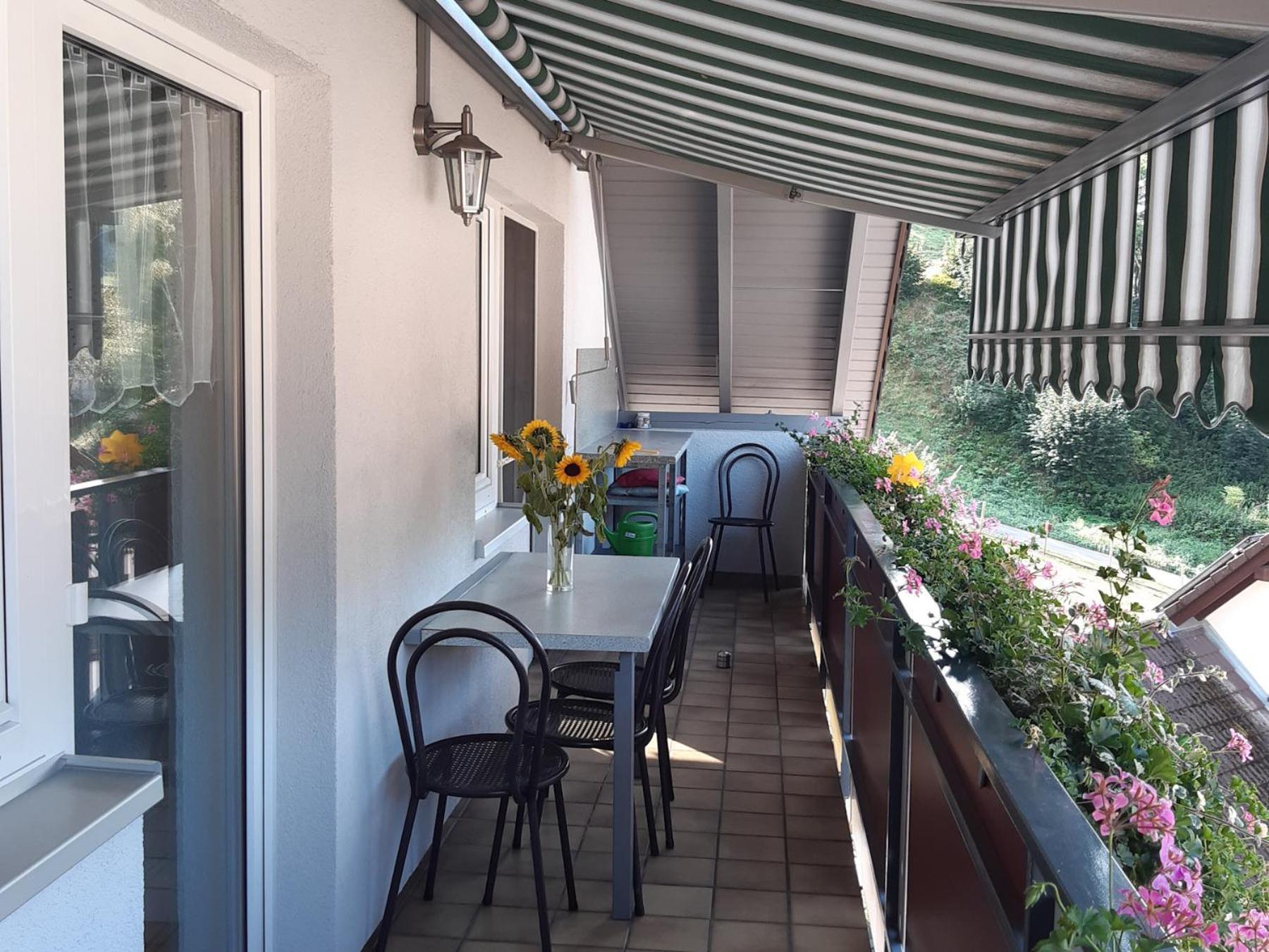 Ferienwohnung Am Geissberg Kleines Wiesental Экстерьер фото